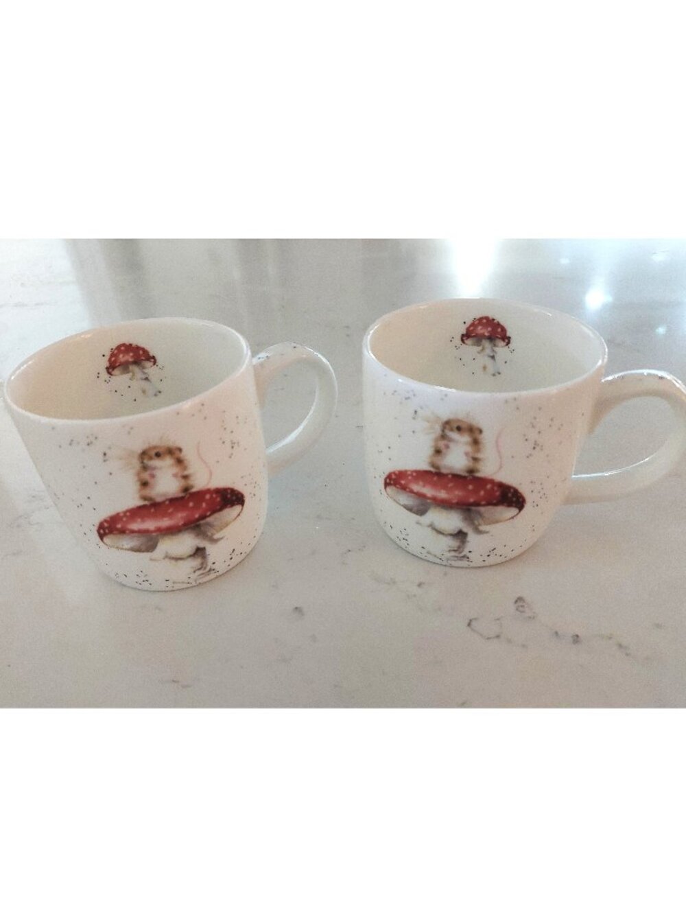 Set of 2 Royal Worcester Wrendale Designs Mugs Fine Bone China Mouse Mushroom